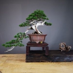 Meet your Posher, Norman